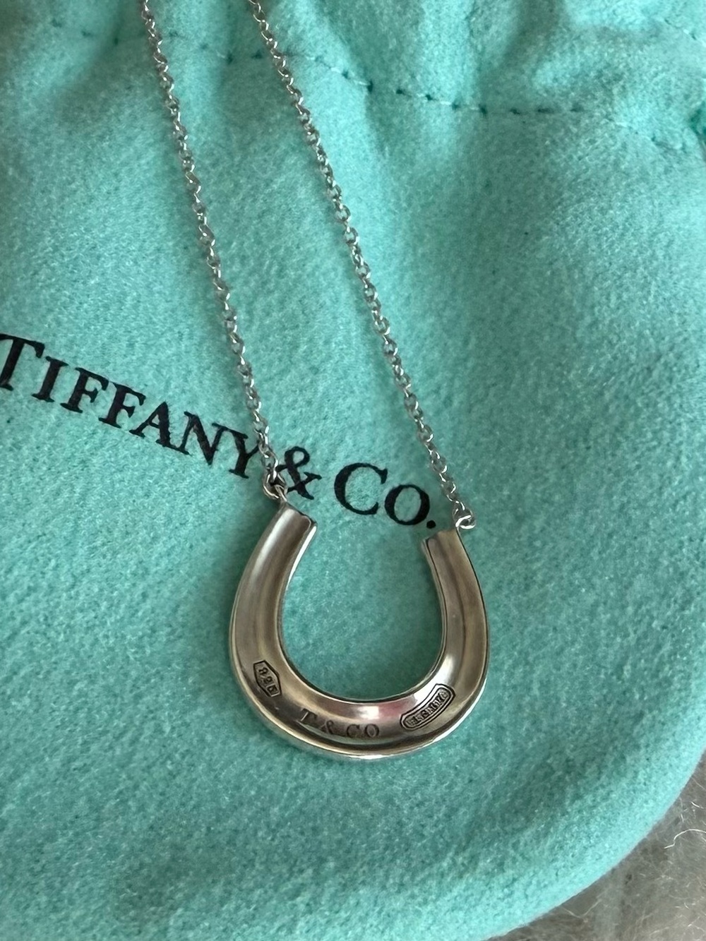 Tiffany and Co. Silver Horseshoe Necklace
